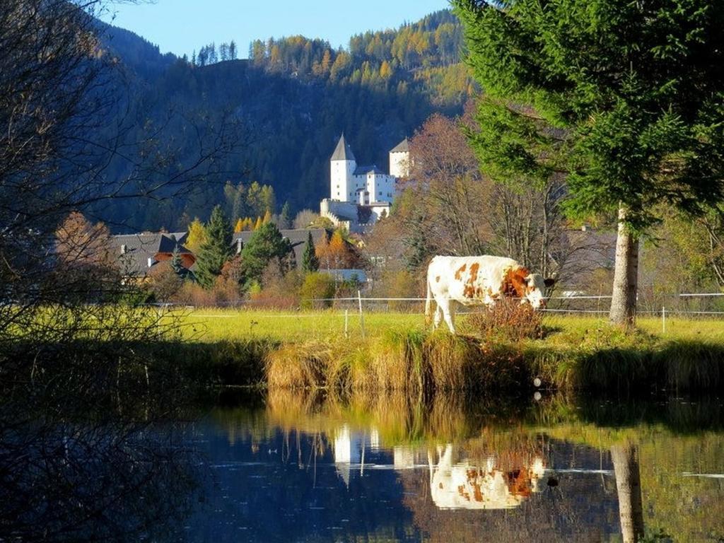 Ferienwohnung Und Zimmer Kassar Bikertipp Mauterndorf  Esterno foto